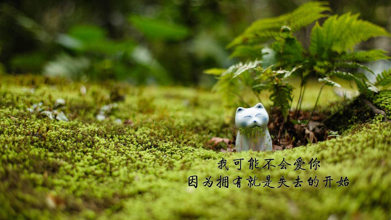 qq空间说说赞平台,qq代帅网免费,雷神代刷网
